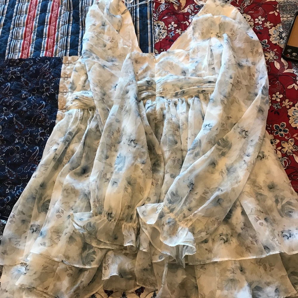 Francesca's Collections Blue and White Floral Dress